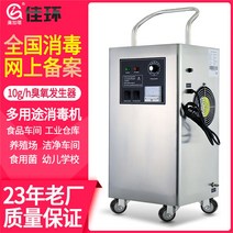 오존 발생기 살균기 제거 소독 포름알데히드 기계 탈취 청정기, 10g오존머신