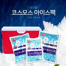 샤인빈 캠핑 아이스팩 아이스박스 얼음 팩, 바잉샵 쿠팡 아이스팩650ml