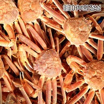 [어부의정성] 구룡포 박달대게 2kg내외 6미내외(몸통75%/다리80%), 상태:1. 활