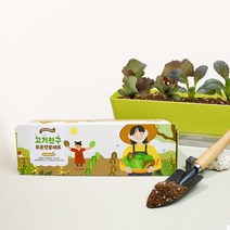 꿈쟁이 저면관수 고기친구 투톤 텃밭세트 키우기 상추 적겨자 1세트, 단품
