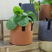 부직포 블루베리 화분 베란다 텃밭 대파 키우기 10갤런 40x30, 2화분10갤런-그레이