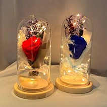바보사랑 LED 꽃 무드등 (소) 장미 로즈데이 인테리어 조명.알사탕닷컴, LED꽃무드등(소)레드, LED꽃무드등(소)장미레드
