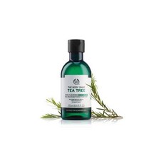 더바디샵 티트리 스킨 클리어링 바디워시 250ML 트러블 피부 지성, 1개