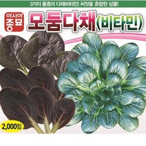 모둠다채씨앗 모둠다채(비타민)(2000립)