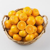 비가람 제주 노지감귤 5kg 2S사이즈, 없음