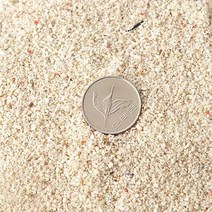 [미미네아쿠아]산호사 15∼20mm 1포, 단일속성