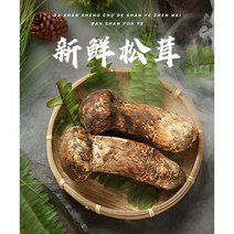 송이버섯, 1박스, 1kg(C급)