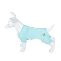 닥스훈트옷 쿨나시 여름나시 쿨티 강아지 여름옷 고양이전용옷 토이푸들 이탈리안그레이하운드 자외선차단, B_에메랄드그린