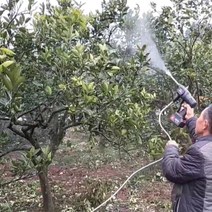 충전분무기 농약 세차 전동 충전식 분무기 살수기 워터건, S클래스_배터리1, 10미터, 1개