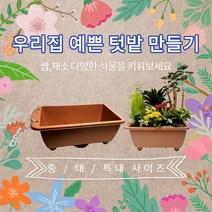 건강윤선생 예쁜 중형 대형 정원 테라스 꽃 채소 꾸미기 만들기 가꾸기 인테리어 조경 원예 용품 플라스틱 플랜터 아파트 실내 베란다 옥상 상자 가정용 이동식 미니 사각 텃밭 화단 화분