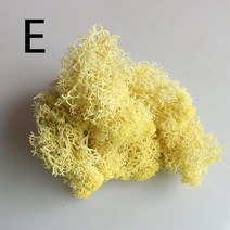 주차장 보도 잔디 블럭 옥상 마당 테라스 바닥 인조잔디 천연 인공 이끼 말린 diy 보존 식물 diy 가짜 꽃 액세서리 웨딩 장식 정원 장식, e