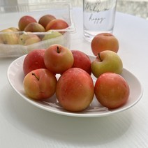 [산지직송] 새콤달콤 프리미엄 대석자두 소/중/대과 500g/1kg, 500g, 1개