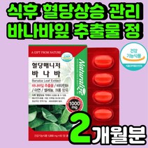 혈당 조절 당 관리 바나나잎 바나바잎 추출물 셀렌 아연 코르솔산 케어 건강 기능 식품 임당 식단 60대 50대 아빠 여성 당혈 색소 남성 슈가 발란스 공복 낮추는 보조제 영양제