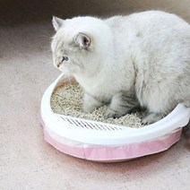 3롤 세트 114x45cm 화장실 고양이 봉투 서울상점몰, 단품