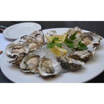 남해 자연산 구이용석화3kg 통영석화5kg 산지직송 택배 배송 (석화10키로), 석화5kg(2인분)