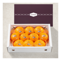 우리동네과수원 [1/18일 자정주문건까지 명절전배송] 정성가득 레드향 3kg 세트