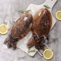 [당일발송] 갑오징어 생물 국내산 손질 1kg, 손질4~7미, 1개