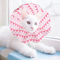 강아지 넥카라 고양이 깔대기 종이 일회용 넥카라 심장사상충 중성화수술후관리