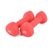 스포뱅크 해피핸드 네오프랜 아령 2kg, 2개입, 레드