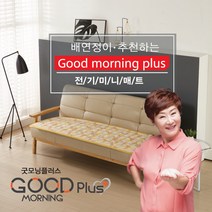 한일의료기 캠핑 여행용 쇼파 전기장판 온열 미니매트 (60cmx160cm)