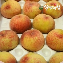 식탐대첩 국내산 딱딱이 복숭아 4kg 14-18과, 없음