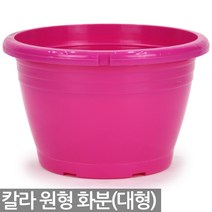 칼라 원형화분 - 플분 플라스틱 식물 화분 행잉화분 행긴화분 걸이화분 플라스틱화분 다육이 식물 공중걸이 공중화분 벽걸이 걸이분 행긴분, 09_세인_칼라 원형화분-대(핑크)