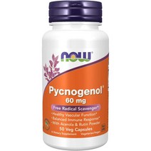 NOW 나우 피크노제놀 60mg Pycnogenol 50정