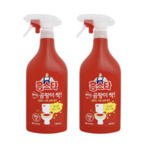 홈스타 뿌리는 곰팡이 싹 세정제, 1.5L, 1개