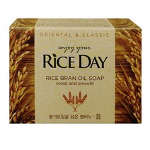 라이스데이 비누 100g 윤 세안비누 쌀겨오일-72394EA 와이조이컴퍼니, 1, 본상품선택
