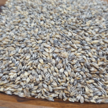 러브그레인 2021년 검정보리 쌀 블랙보리 흑보리 흑찰보리 쌀, 1개, 10kg