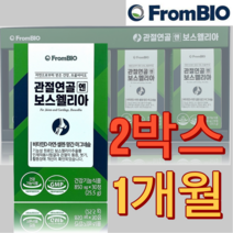 식약처인증 홈쇼핑보스웰리아 boswellia 2세대보스웰리아 보스웰리아추추물 보스웰리아프리미엄 관절연골엔보스웰리아 1개월 2박스