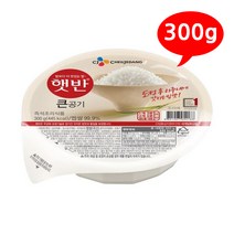 햇반 큰공기 300g /B