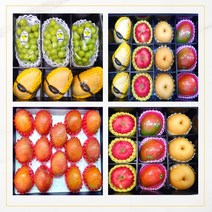 혼합 과일선물세트 명절 설날 추석 인사 임신축하선물 프리미엄과일 가락시장 토박이유통, 2. 명품 사과선물세트 대과