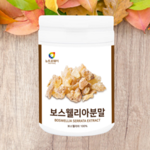 뉴트로웨이 보스웰리아분말 200g 1통/ 인도산 보스웰리아가루 당뇨에좋은차