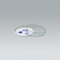 페트리접시(유리), 120mm