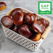 [GAP인증] 산지직송 충남 공주 정안 알밤 2kg대, 없음, 1개