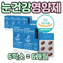 눈에 좋은 영양제 루테인 식품 관리 아스타잔틴 캡슐 핸드폰 눈이 뻑뻑 침침 가족 눈 건강 노화 피로 블랙커런트 결명자 블랙베리 노인 어르신 성인 남자 여자 수험생 추천 미니캡슐