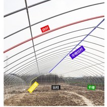 조립식 비닐하우스 자재 농업용 파이프 방목 구조 골격 농업 하우스, 맞춤형 2-18m 폭의 온실 지원