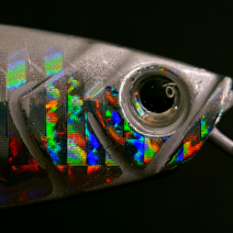 안낚하세요 팬시 메탈 지그 10g 15g 20g 30g 숏 슬로우 쇼어지깅 트레블 어시스트 훅 빅베이트 바이브 스푼 크롬 갈치 고등어 방어 삼치 우럭 대구 광어 배스 쏘가리 부시리, 팬시 메탈지그 20g, 03 레인보우