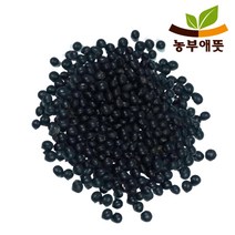 농부애뜻 국산 콩나물 콩 기르기 500g 검정 2020년산, 1팩