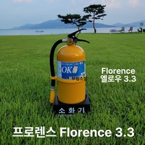 칼라소화기 옐로우 3.3kg 소화기3.3 가정용소화기 분말, 1개
