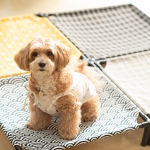 강아지 침대 고양이 해먹 애견 쿠션 방석, 소형S, 옐로우