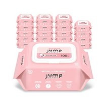 꿈토리 뉴넉넉한 점프 엠보싱 유아물티슈 캡형, 220개, 100매입
