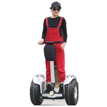 전동휠 전동킥보드 나인봇 전기 호버 스케이트보드 수영킥판 대리기사 두 바퀴 셀프 31, White