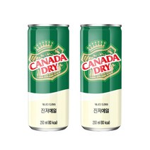 코카콜라 캐나다드라이 진저에일 250ml 30캔