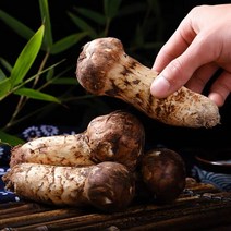 자연산 냉동 송이 버섯 자연 송이버섯, 3등급 500g, 1개