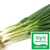 국산 친환경 대파 무농약 햇대파 급식 납품, 1kg, 1개