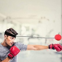 펀치볼 2개, 펀치볼 2개 00873WT