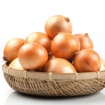 무안 햇양파, 5kg 소, 1개