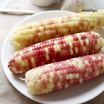 우리가스토리 탱글탱글 홍찰 냉동 삶은 찰옥수수 40개 (10~12cm 내외), 단품없음